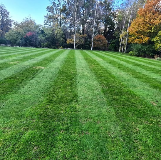 lawn fertlizer 