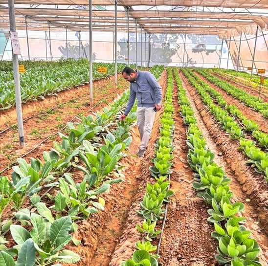 a man standing in a greenhouse with a lot of vegetables -hydrogreen Energy Pvt Ltd