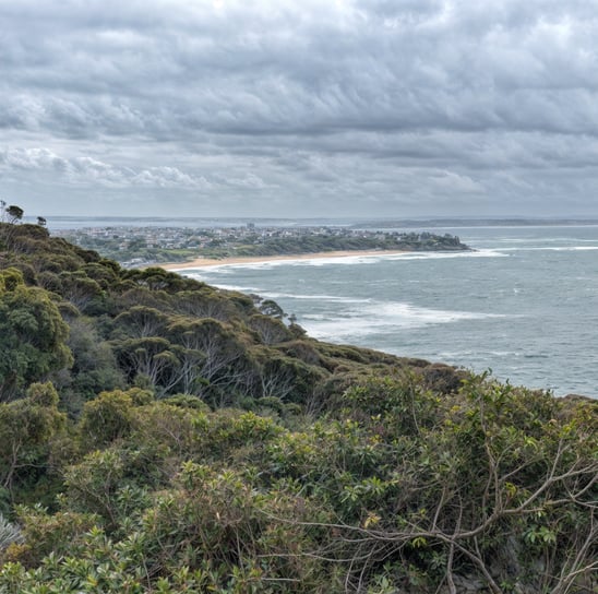 View of Shelly Beach from Crackneck Lookout