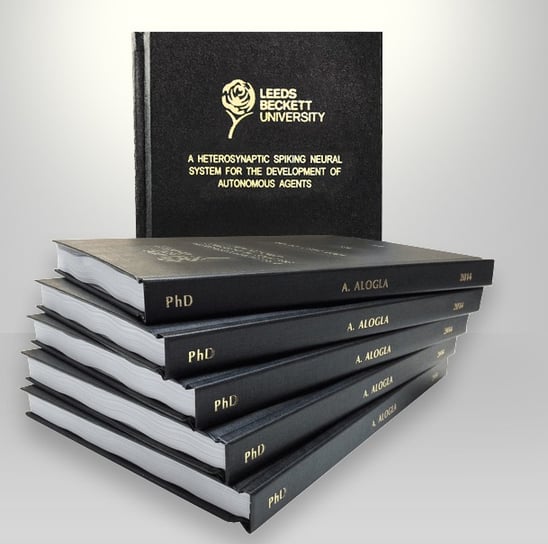 Dissertation help