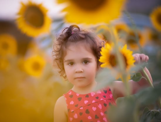 a little girl in a red dress standing in a field of sunflowers