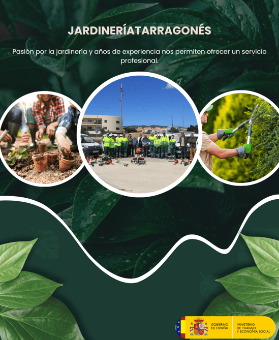 jardineritarragones un espera de jardineros profesionales