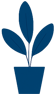 plante
