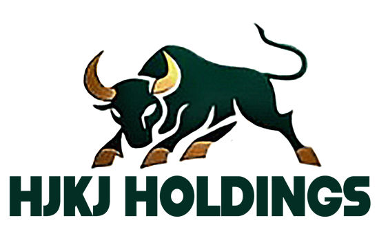HJKJ HOLDINGS logo