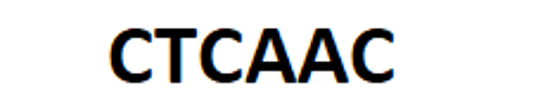 Chinese Traditional Cultural and Art Association of Canada logo