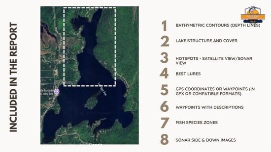 lake fishing spots breakdown