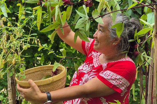 Photo of Sonya Syafitri harvesting in a garden in Sungai Pisang, West Sumatra