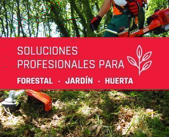 SOLUCION PROFESIONAL MONTEAGRIAUTO.MONTEJICAR