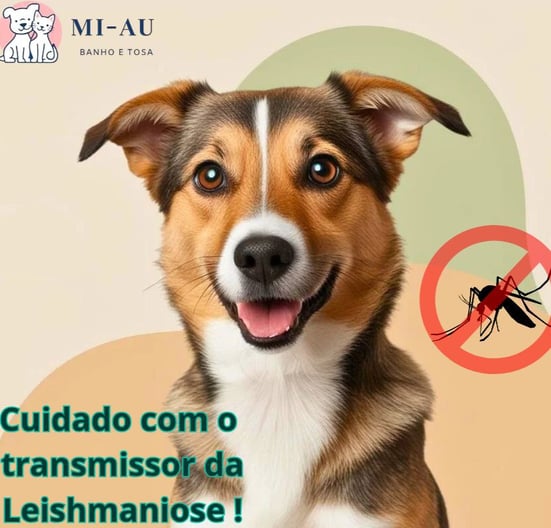 o que é a leishmaniose