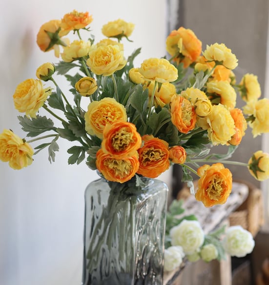 yellow and orange ranunculus
