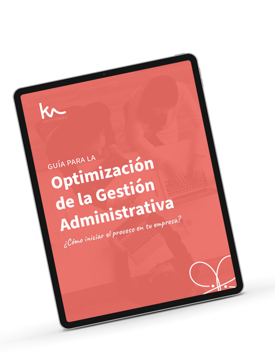Guia gratuita optimización de la gestion