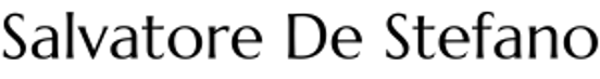 Salvatore De Stefano Fotografo logo