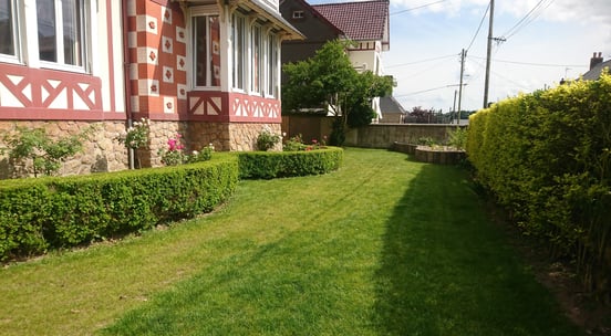 Jardin avec pelouse verdoyante et haies taillées, résultat d’un engazonnement soigné