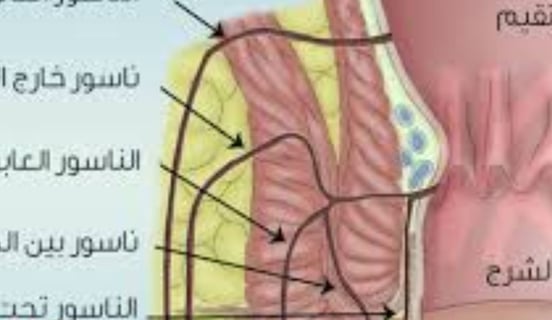 healing processes by reducing inflammation and providing a rest period for the digestive system.