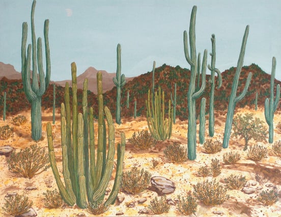 Acrylic Painting of Saguaro and Organ Pipe Cactus in Arizona by Julie Carlisle