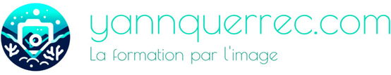 Yann Querrec logo