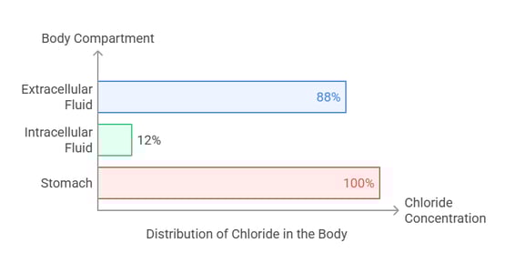 chloride body distribution