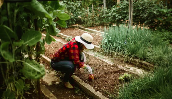 woman digging in garden