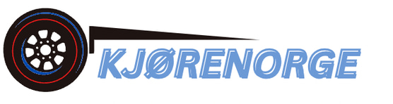 DRIVERS LICENSE logo