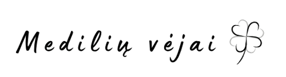 Medilių vėjai logo