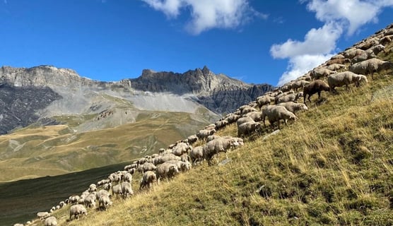 Hill walking in Mercantour, French Alps near the Italian border, in September 2023