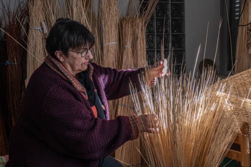 Tri de l'osier avant la confection d'un panier