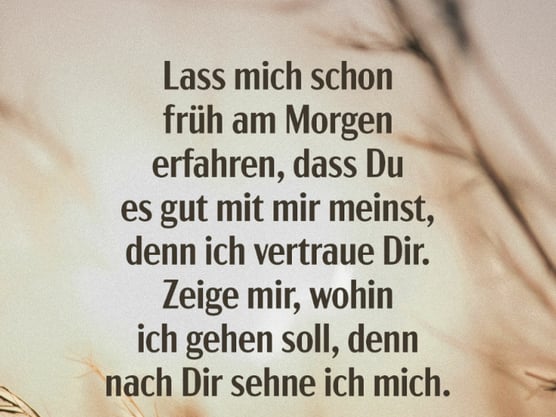 Früh am Morgen erkennen, dass Du, Gott, es gut mit mir meinst