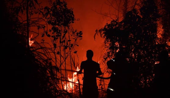 Floresta em chamas por causa da seca na Indonésia