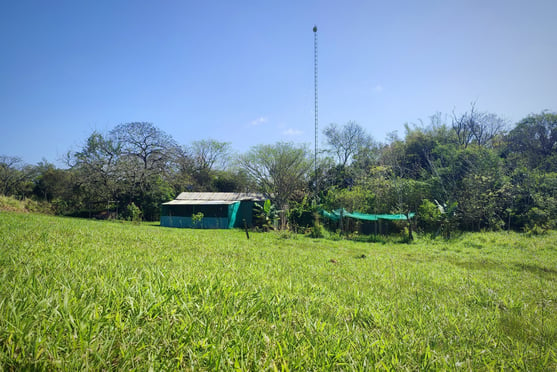 Immobilie zum Kauf in kleiner Siedlung bei Colonia Independencia in Paraguay