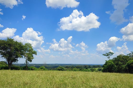 Bauland in Top-Lage von Independencia, Paraguay