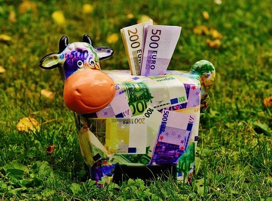 Tirelire en forme de vache tapissée de biilets en euros de 500 et 200 euros