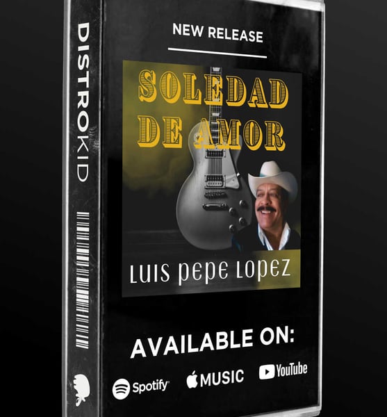 a cd cover of a cd with a guitar