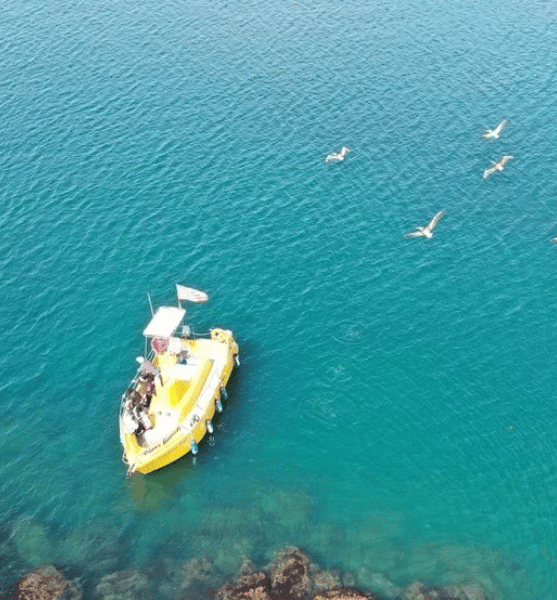 beach clean up glass bottom boat Redondo beach boat adventure ocean 