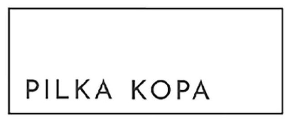 Pilka kopa logo