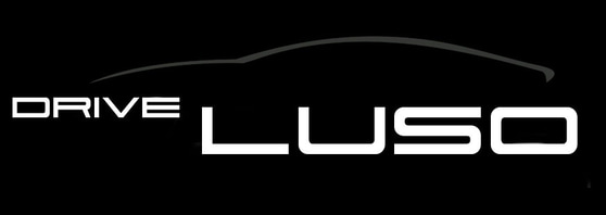 Drive Luso logo