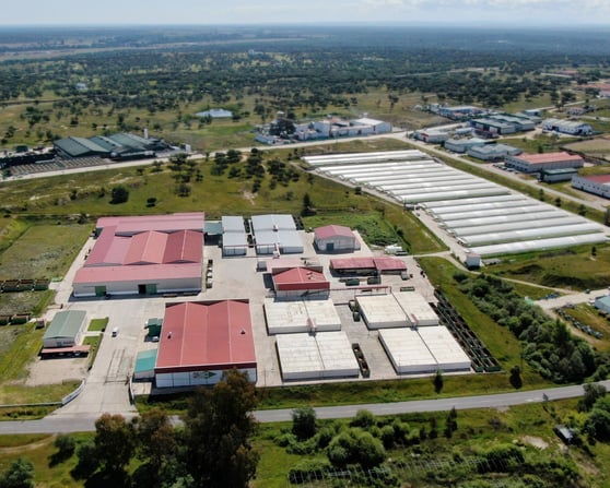 Imagen aérea de las instalaciones de COTABACO.