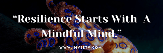 imveetv.com Resilience, Growth Mindset