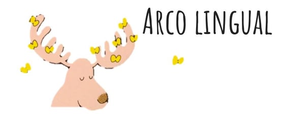 arco lingual