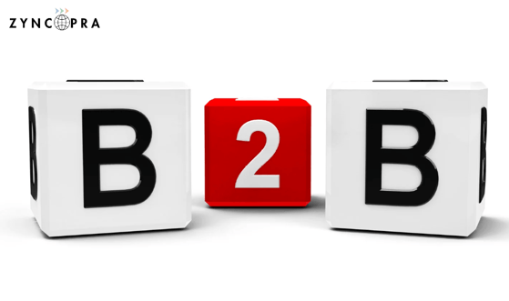 Zyncopra B2B consulting and trade facilitation services