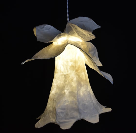 paper light Alice
