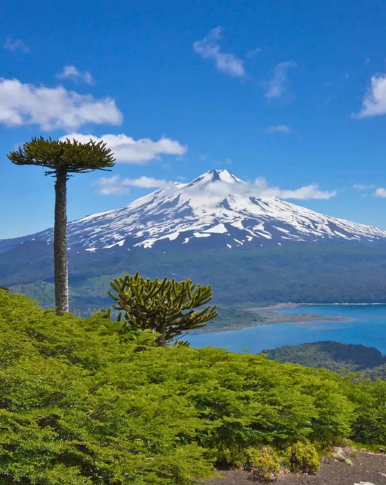 Ruta Escénica de Lagos y Volcanes