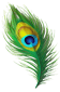 SEO Services Krishna