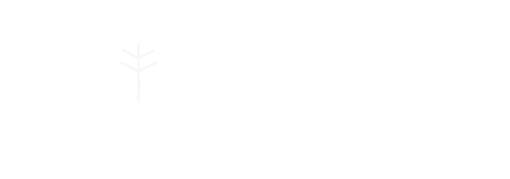 Ekobumi Consulting logo