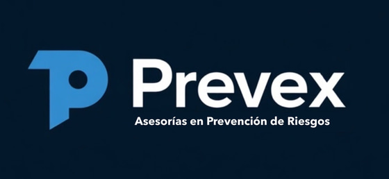 ESSOS Consulting logo