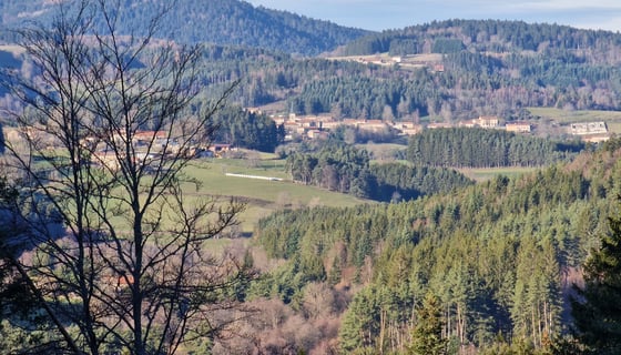 Mountains and forests near my office