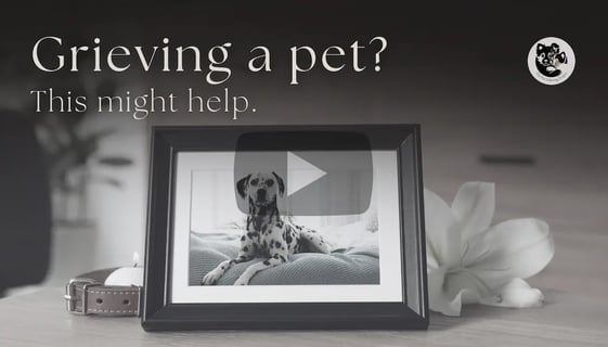 A picture frame of a dog next to a leash, a candle and a flower