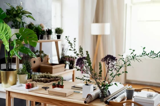 office with plants