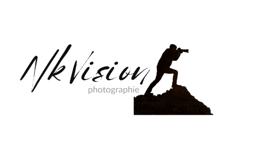 Nkvision logo