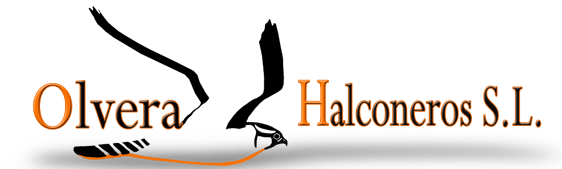 Olvera Halconeros SL logo