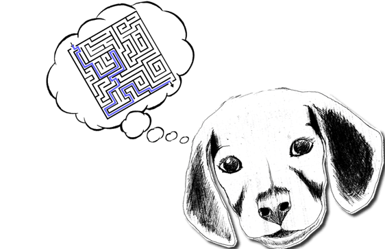 Canins Taquins logo
